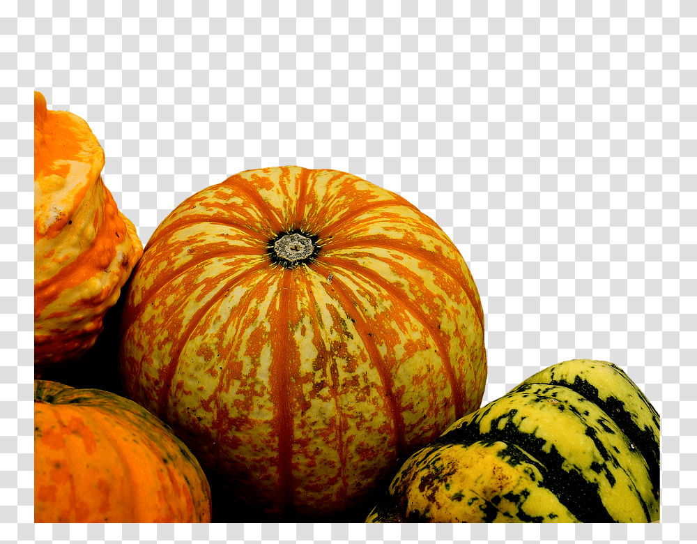 Pumpkins 960, Vegetable, Plant, Produce, Food Transparent Png