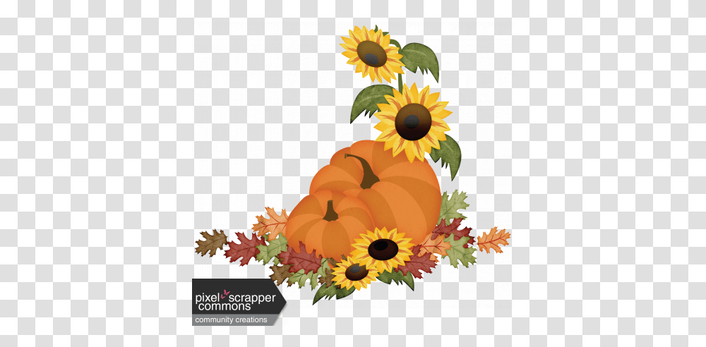 Pumpkins And Sunflowers Clipart Images G 1353959 Pumpkin And Sunflower Clipart, Plant, Blossom, Daisy, Daisies Transparent Png
