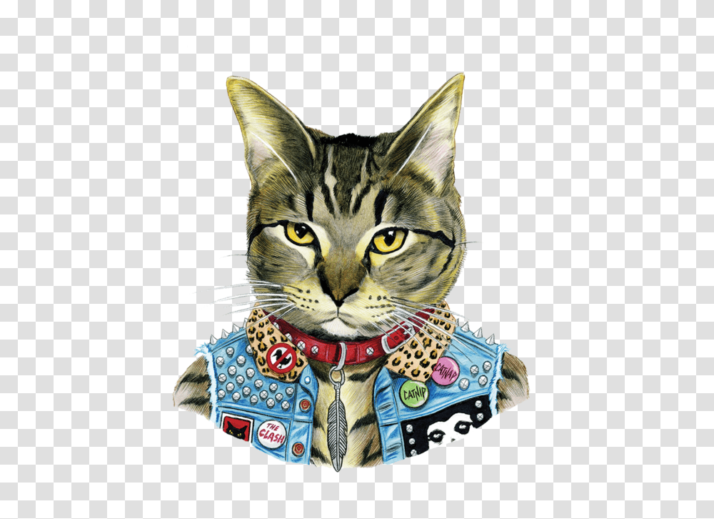 Punk Cat, Pet, Mammal, Animal, Accessories Transparent Png