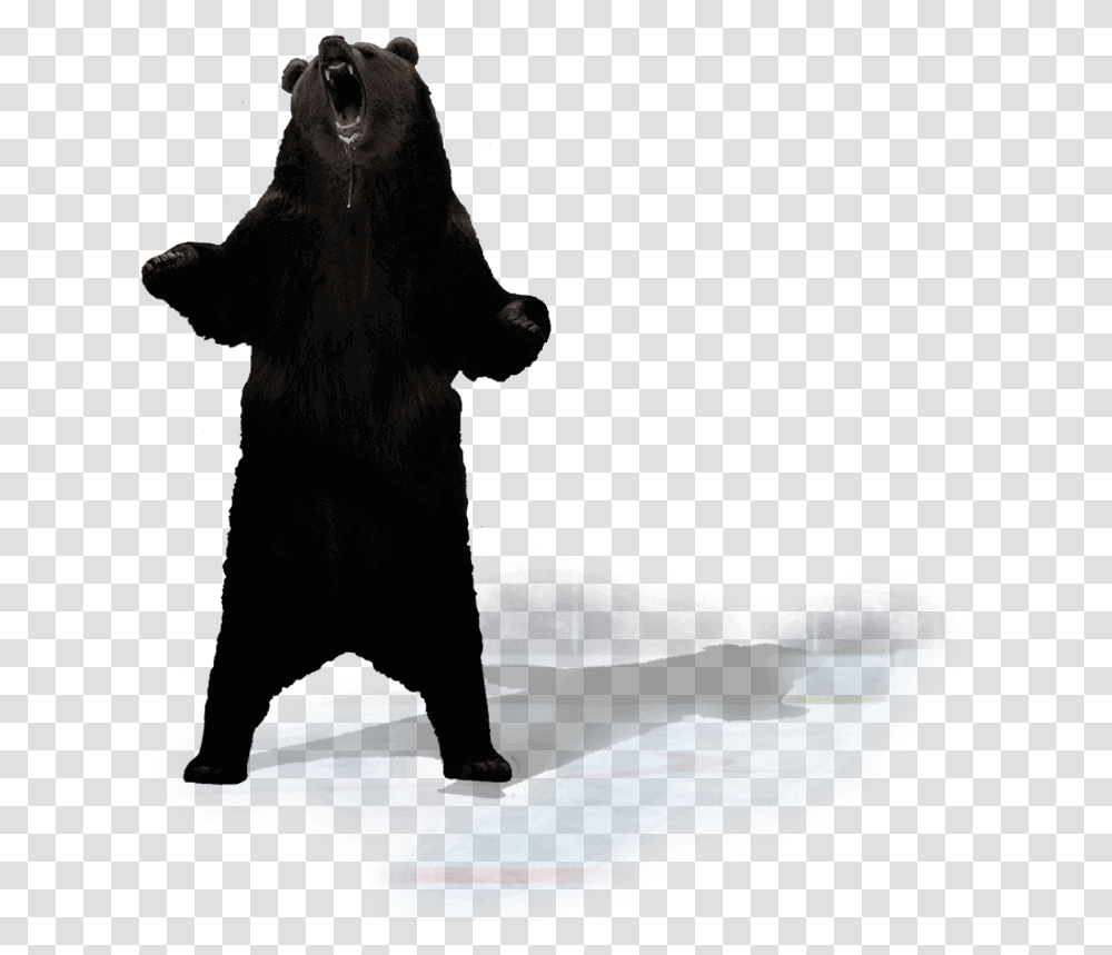 Punxsutawney Phil Standing Black Bear, Silhouette, Leisure Activities, Animal Transparent Png