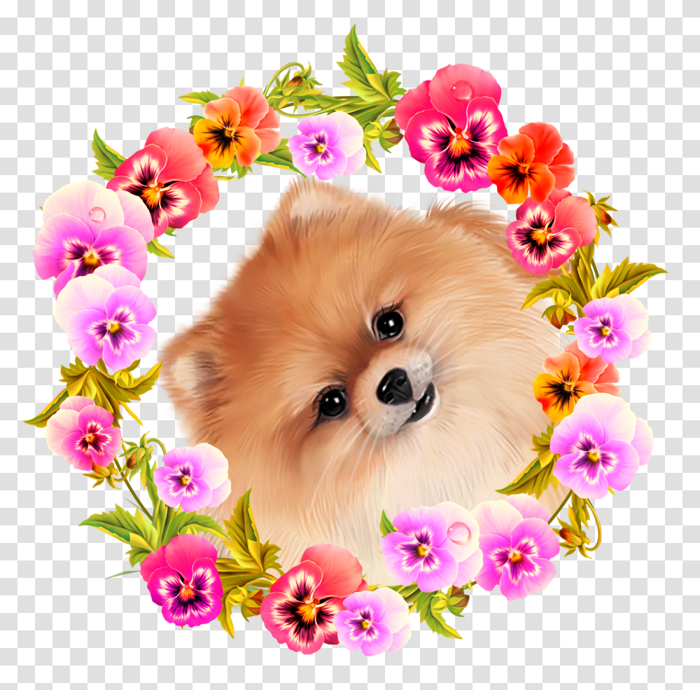 Puppies And Flowers Clipart Cute Puppy Dog Spitz, Plant, Blossom, Graphics, Pet Transparent Png
