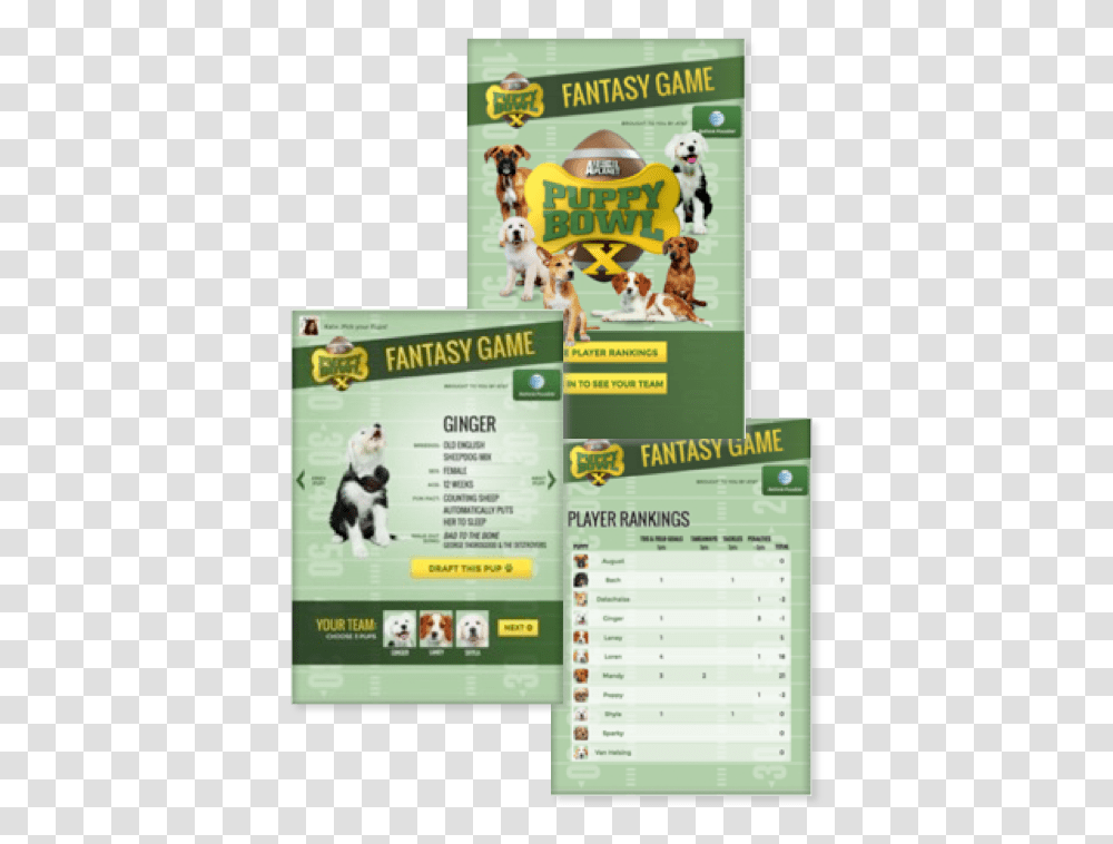 Puppy Bowl, Poster, Advertisement, Flyer, Paper Transparent Png