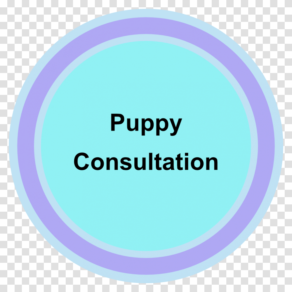 Puppy Consultation Consultation Room, Word, Label, Sphere Transparent Png