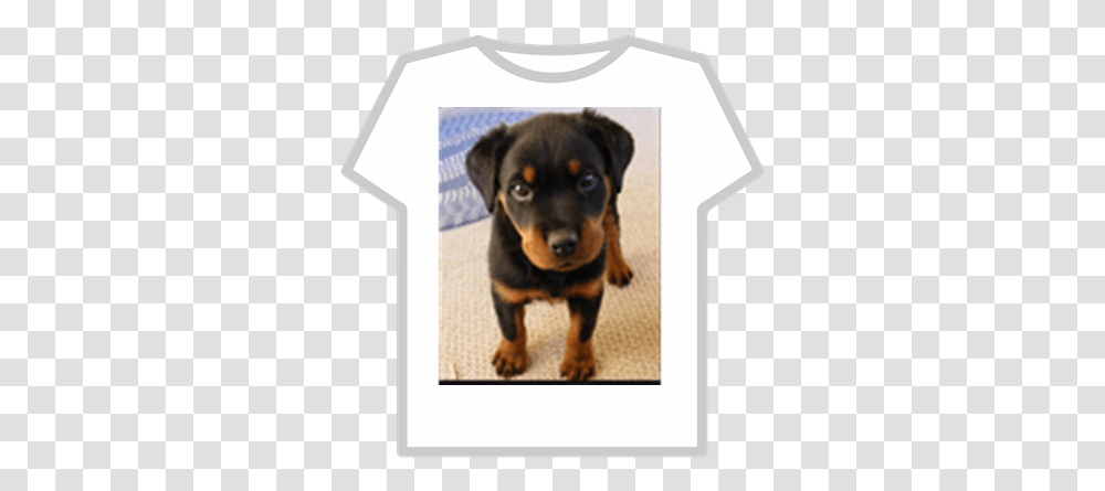 Puppy Dog Pals Roblox Buzz Lightyear Hoodie T Shirt Roblox, Canine, Mammal, Animal, Pet Transparent Png