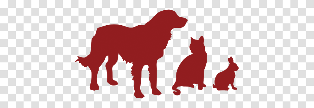 Puppy Kitten Adoption In Virginia Dc Wolf Trap Animal Rescue, Silhouette, Cat, Mammal, Dog Transparent Png
