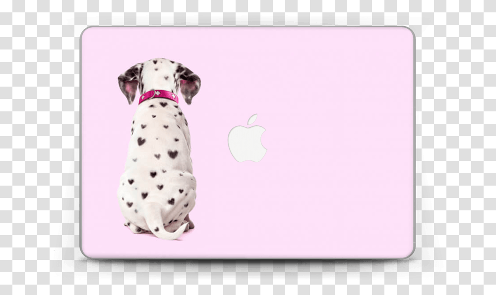 Puppy Sitting Back View Download Dalmatian, Dog, Pet, Canine, Animal Transparent Png