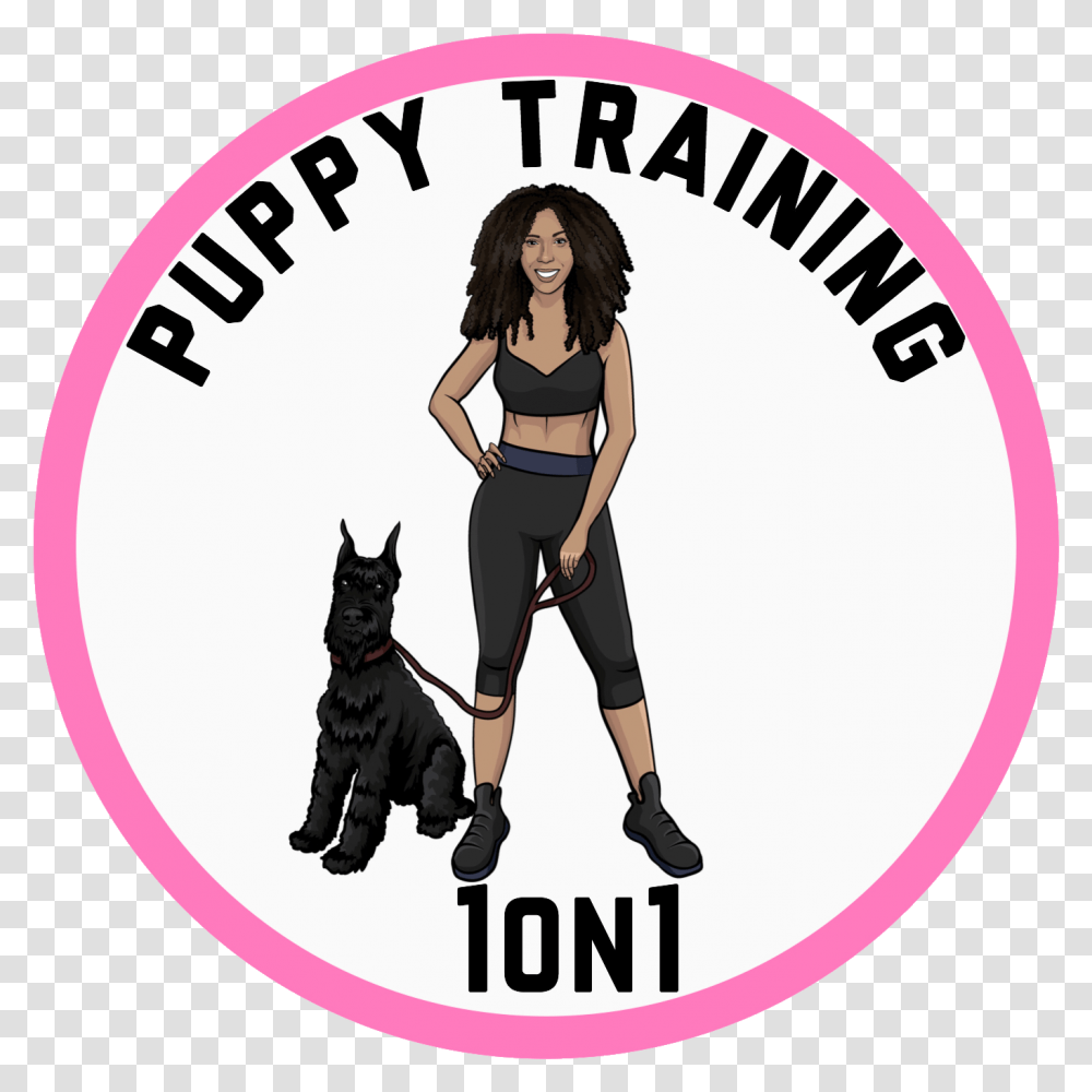 Puppy Training 1on1 Dog Catches Something, Person, Pet, Canine, Animal Transparent Png