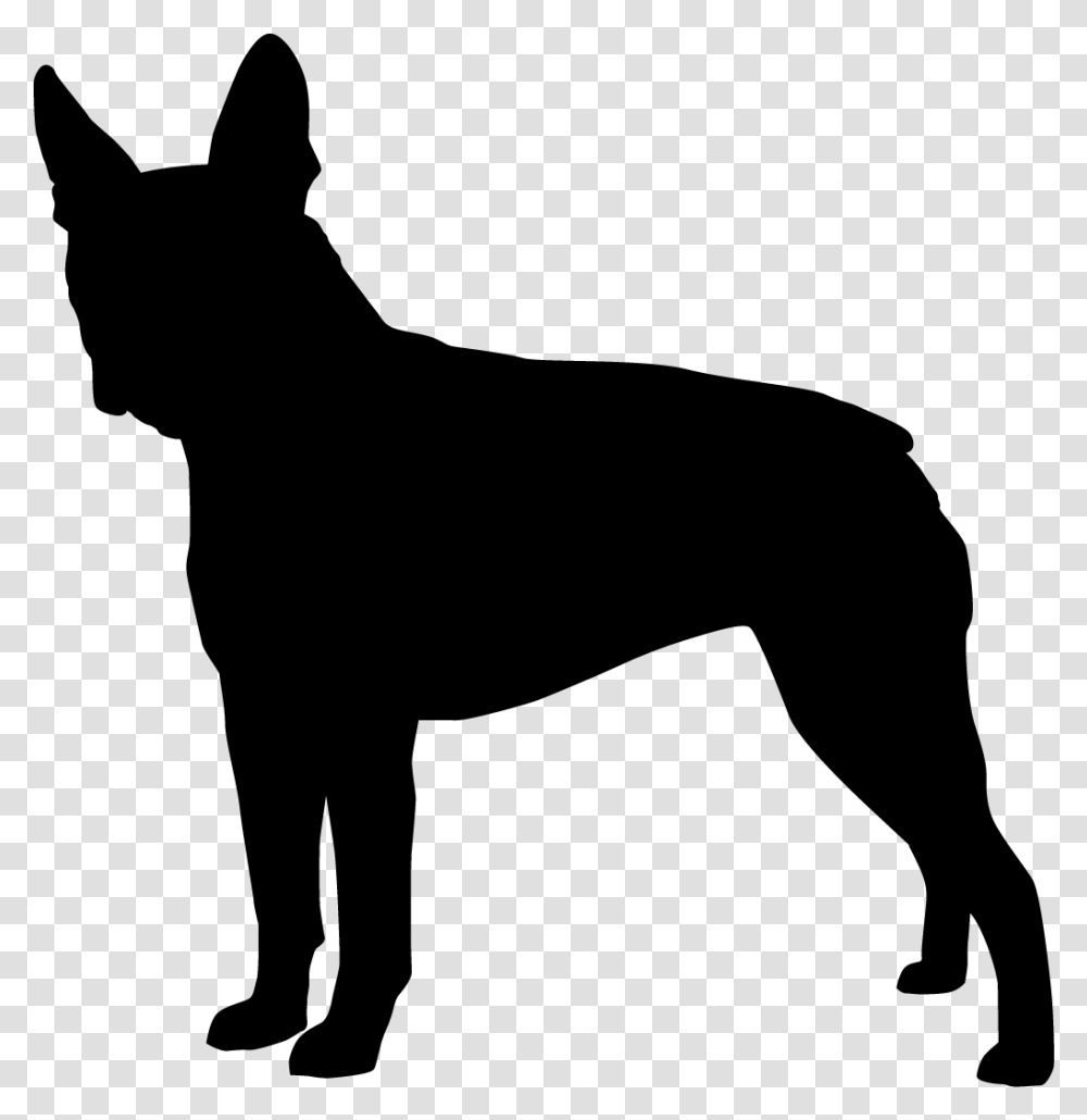 Puppy Vector, Gray, World Of Warcraft Transparent Png
