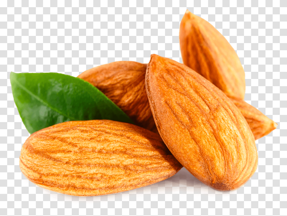 Pure Almond Oil Almond Hd Images Download, Plant, Bread, Food, Nut Transparent Png