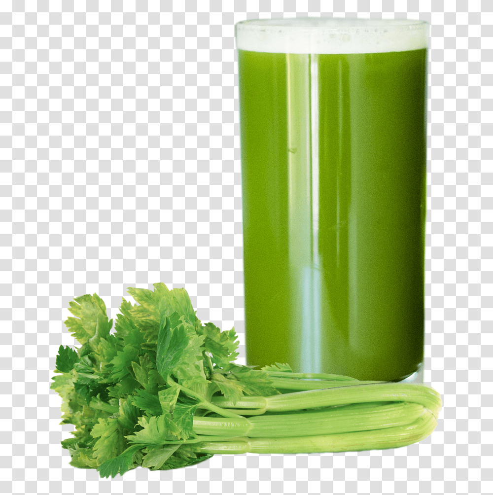 Pure Celery Apple Juice Organic Celery, Beverage, Drink, Smoothie, Vase Transparent Png
