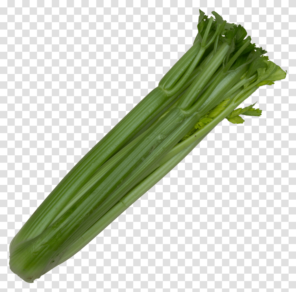 Pure Celery, Plant, Produce, Food, Vegetable Transparent Png