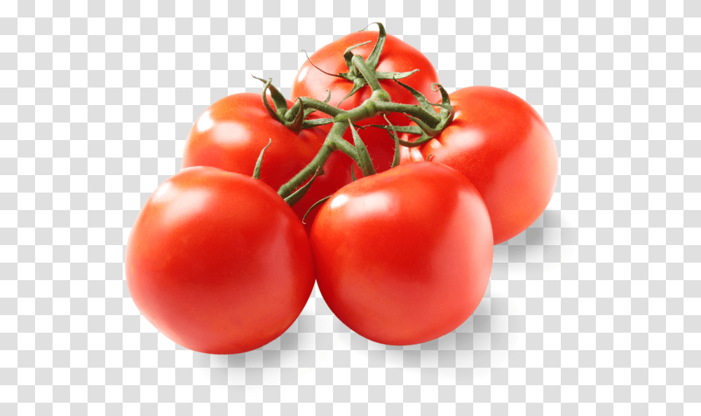 Pure Flavor Bulk Tomatoes On The Vine Plum Tomato, Plant, Vegetable, Food Transparent Png