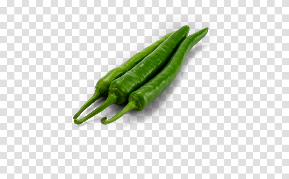 Pure Flavor Stingrays Green Hot Peppers Bird's Eye Chili, Plant, Insect, Invertebrate, Animal Transparent Png