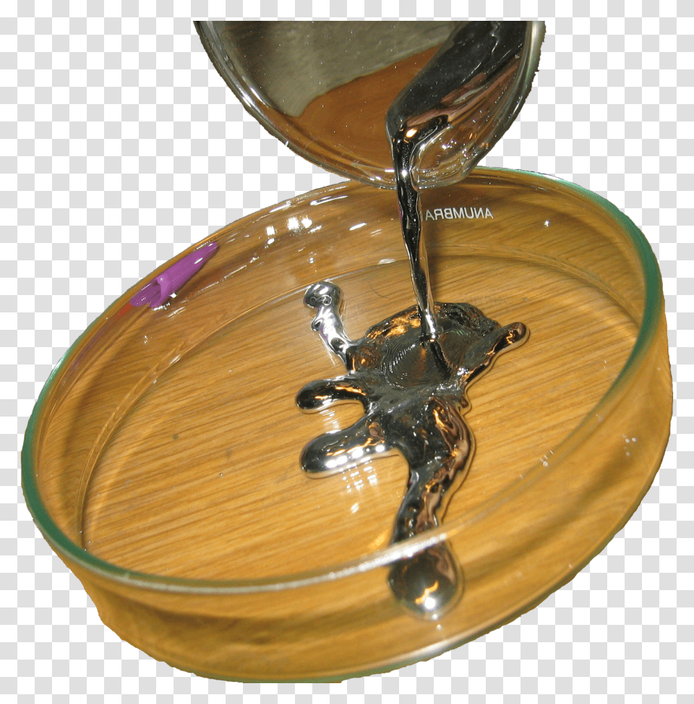 Pure Liquid Mercury Download Mercury A Liquid, Bowl, Lamp, Wasp, Insect Transparent Png