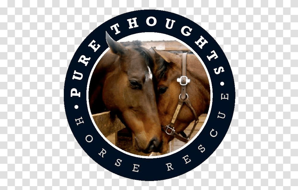 Pure Thoughts Horse Rescue Inc Pure Thoughts Horse Rescue, Mammal, Animal, Word Transparent Png