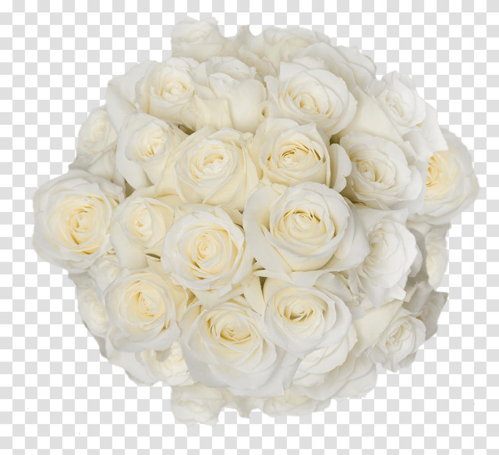 Pure White Roses For Bridal Bouquets Sugar Doll Roses Floribunda, Floral Design, Pattern Transparent Png