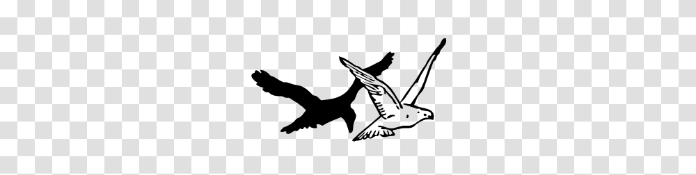 Pureheart Deringpo The Dove And The Crow, Gray, World Of Warcraft Transparent Png