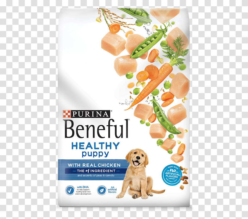 Purina Beneful Puppy Food, Plant, Dog, Pet, Canine Transparent Png