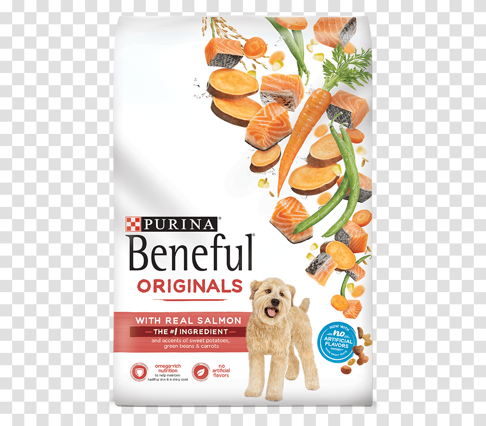 Purina Beneful Salmon Dog Food, Advertisement, Poster, Flyer, Paper Transparent Png