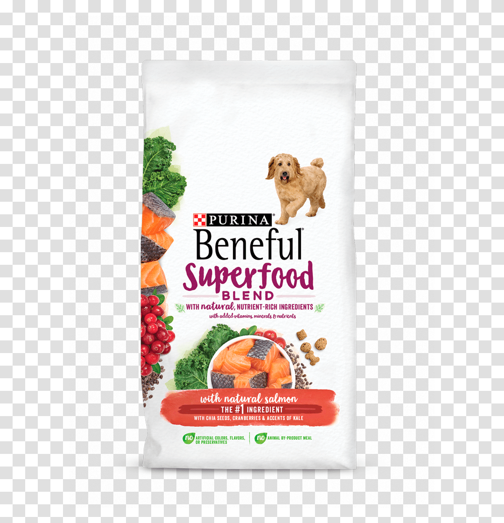 Purina Beneful Superfood Blend, Plant, Dog, Juice, Beverage Transparent Png