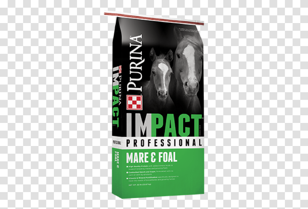 Purina Impact Professional Mare Amp Foal Horse Feed Purina Pink, Poster, Advertisement, Magazine, Mammal Transparent Png