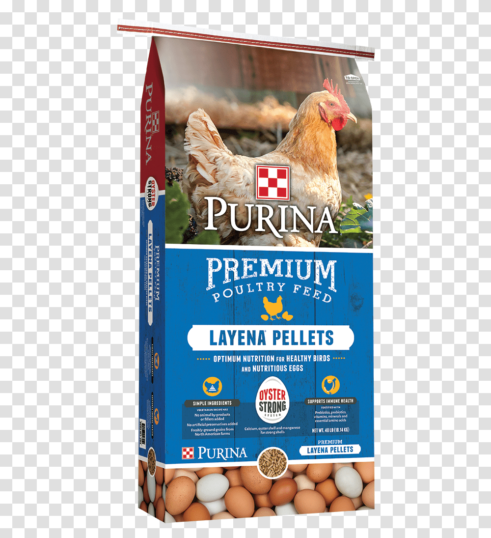 Purina Layena Pellets, Chicken, Poultry, Fowl, Bird Transparent Png