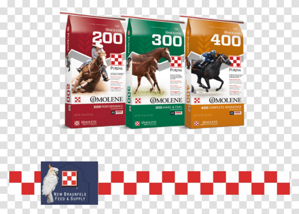 Purina Omolene With Outlast New Braunfels Feed & Supply Flyer, Text, Horse, Mammal, Animal Transparent Png