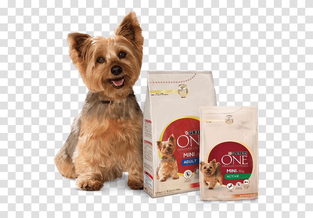 Purina One Small Dog, Pet, Canine, Animal, Mammal Transparent Png
