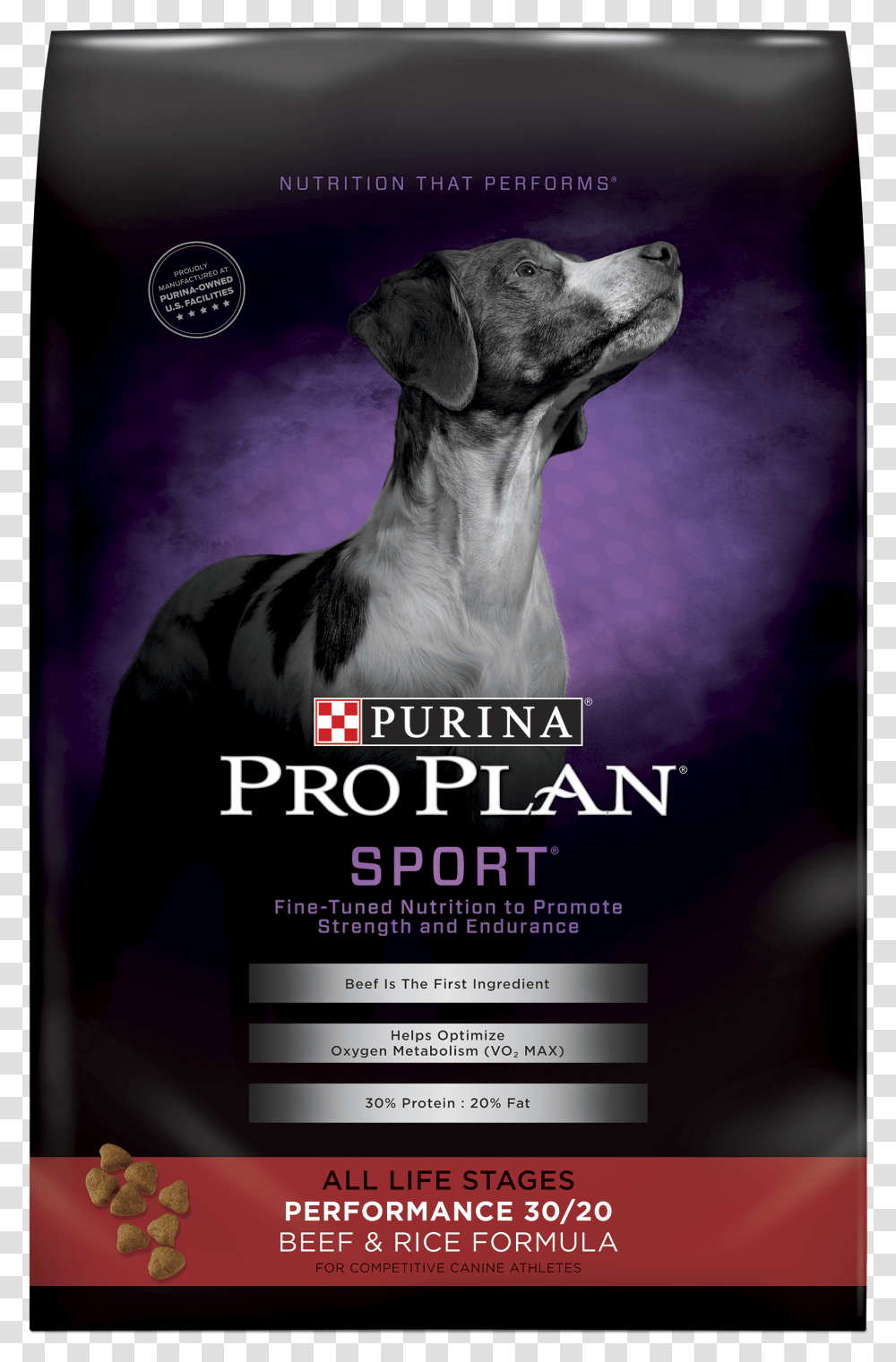 Purina Pro Plan Dog Food, Poster, Advertisement, Flyer, Paper Transparent Png