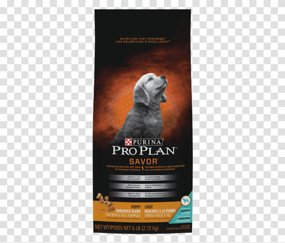 Purina Pro Plan, Poster, Advertisement, Canine, Mammal Transparent Png