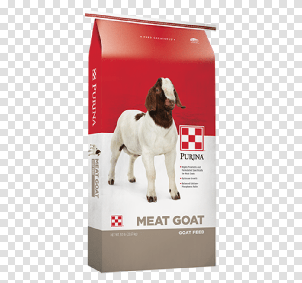 Purina Strategy Horse Feed, Dog, Pet, Canine, Animal Transparent Png