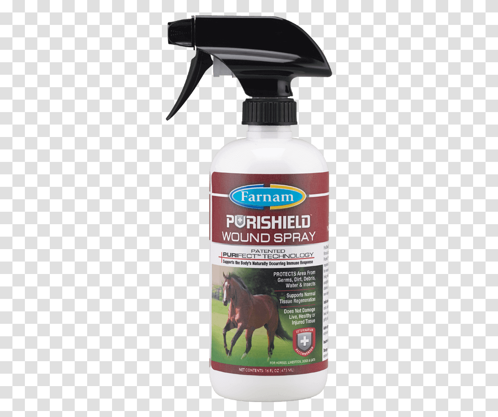 Purishield, Horse, Animal, Label Transparent Png
