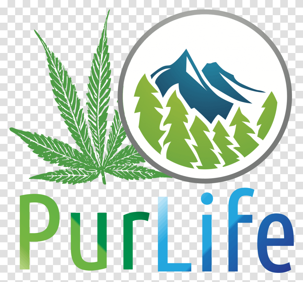 Purlife Dispensary, Plant, Hemp, Weed, Poster Transparent Png