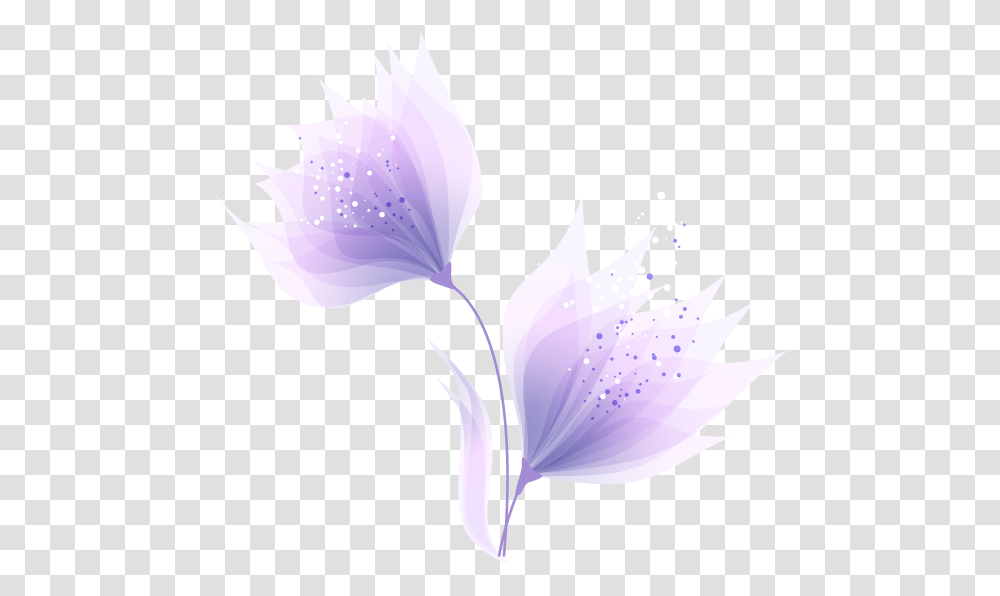 Purple Abstract Fantasy Flowers Download Tulipa Humilis, Plant, Blossom, Petal, Anther Transparent Png
