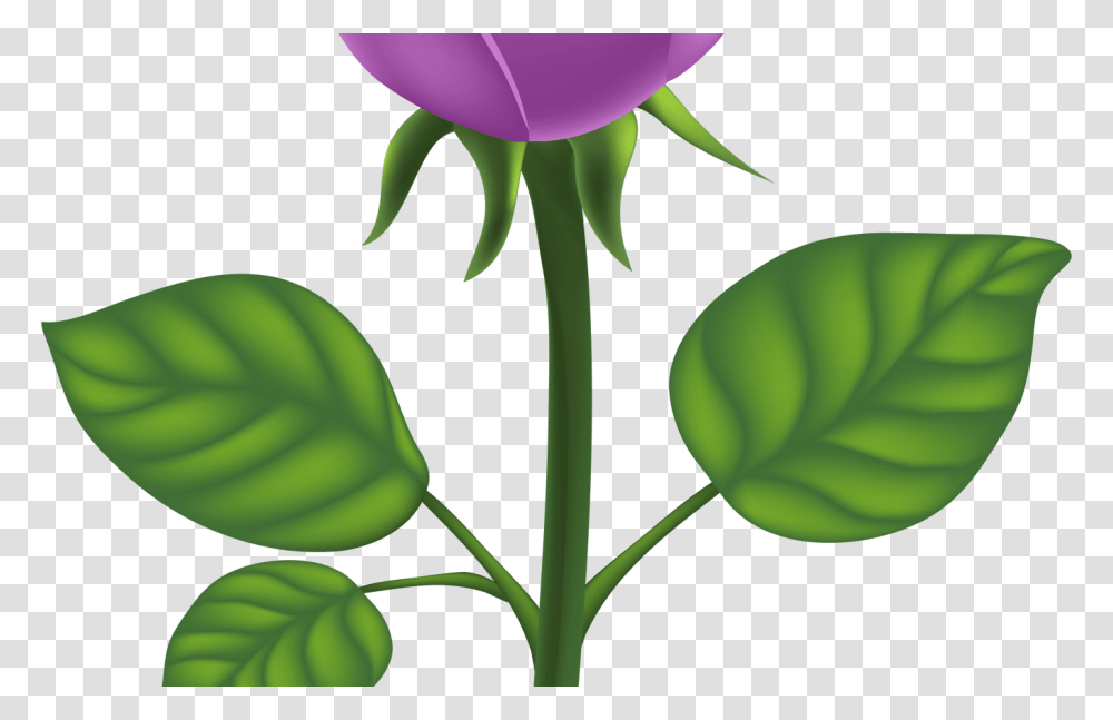 Purple And Green Flower Clip Art Gardening Flower And Vegetables, Rose, Plant, Blossom, Leaf Transparent Png