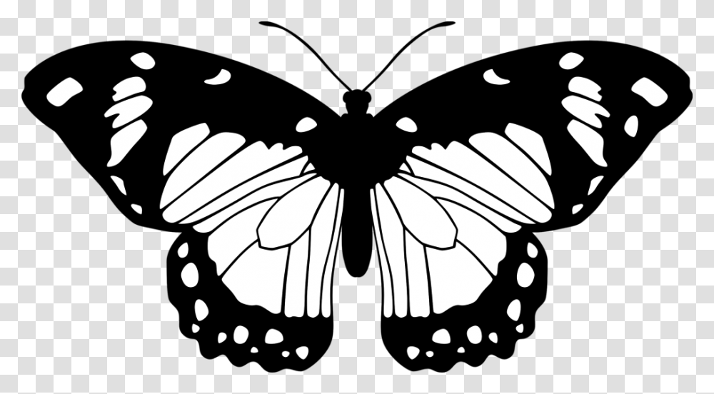 Purple And Pink Butterfly, Insect, Invertebrate, Animal, Stencil Transparent Png