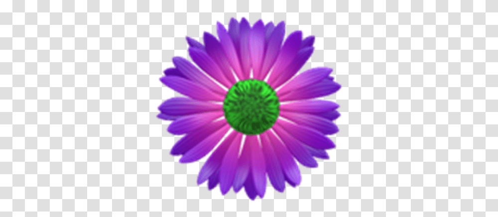 Purple And Pink Flower W Background Roblox Lic Cm Club Member Logo, Daisy, Plant, Daisies, Blossom Transparent Png