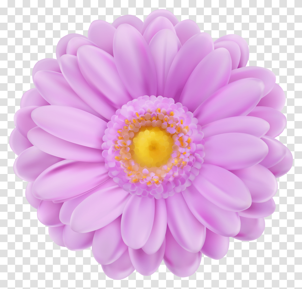 Purple And Pink Flowers Purple Flower Transparent Png
