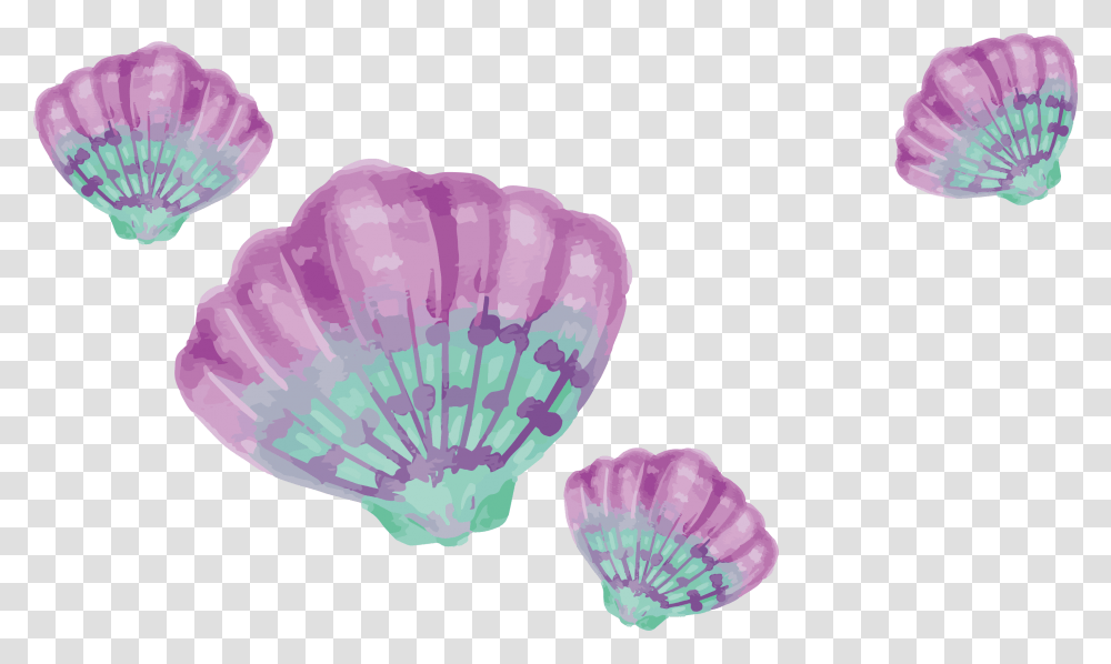 Purple And Teal Seashells, Sea Life, Animal, Invertebrate, Clam Transparent Png