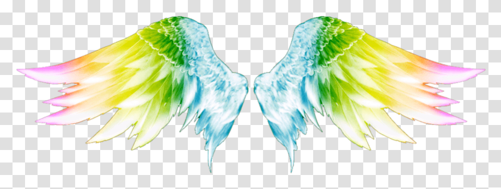 Purple Angel Wings, Bird, Animal, Archangel Transparent Png