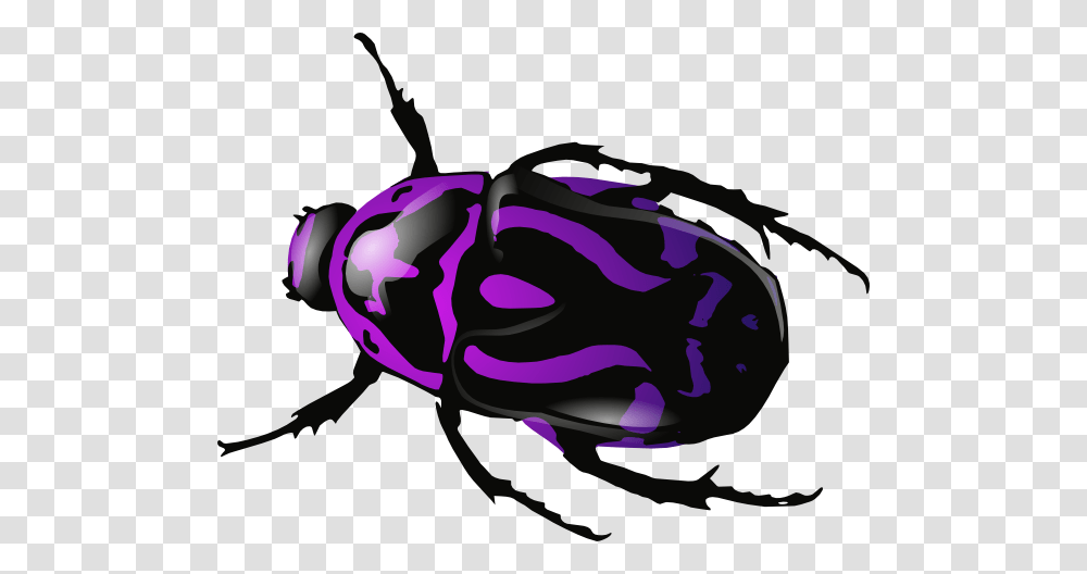 Purple Beetle Clip Art, Insect, Invertebrate, Animal, Dung Beetle Transparent Png