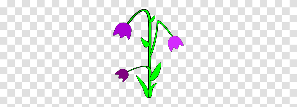 Purple Bell Flowers Clip Art, Plant, Blossom, Petal, Daisy Transparent Png