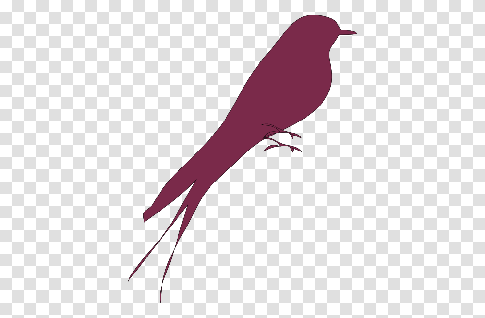 Purple Bird Clip Art Vektor Burung Love Bird, Arm, Animal, Vulture, Sleeve Transparent Png