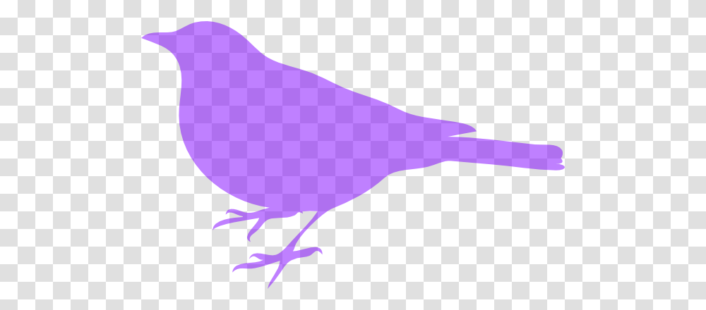 Purple Bird Clipart Clip Art, Finch, Animal, Canary Transparent Png