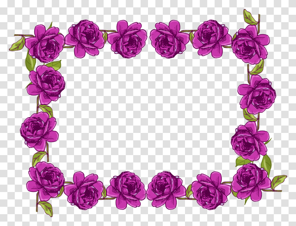 Purple Borders Designs, Plant, Rose, Flower, Blossom Transparent Png