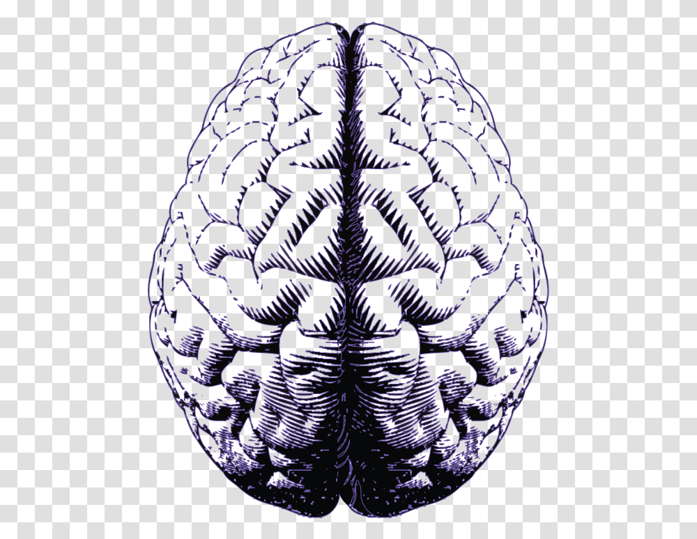 Purple Brain Emotional Intelligence, Ornament, Pattern, Fractal, Rug Transparent Png