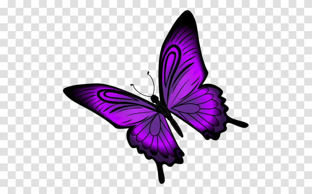Purple Butterfly And Flower Clipart Images Free Download, Animal, Insect, Invertebrate, Bird Transparent Png