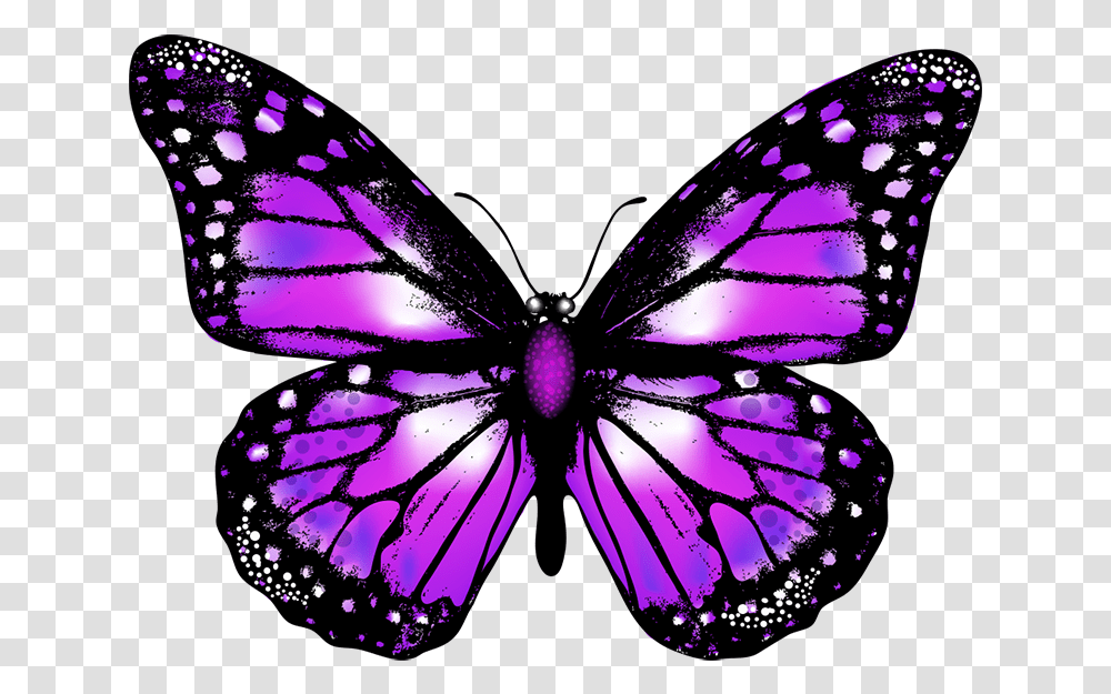 Purple Butterfly Background, Ornament, Pattern, Fractal Transparent Png