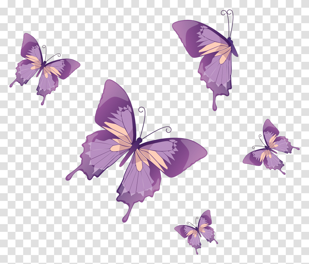 Purple Butterfly Background, Plant, Flower, Blossom, Petal Transparent Png