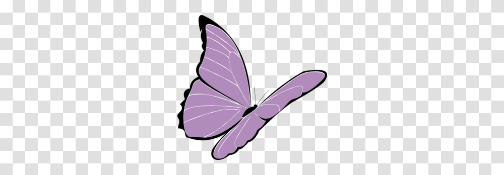Purple Butterfly Border Clipart Clip Art Images, Paper, Animal Transparent Png